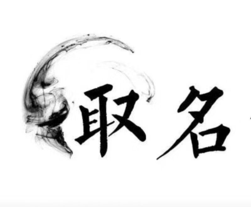  林口宝宝取名 大师一对一人工起名